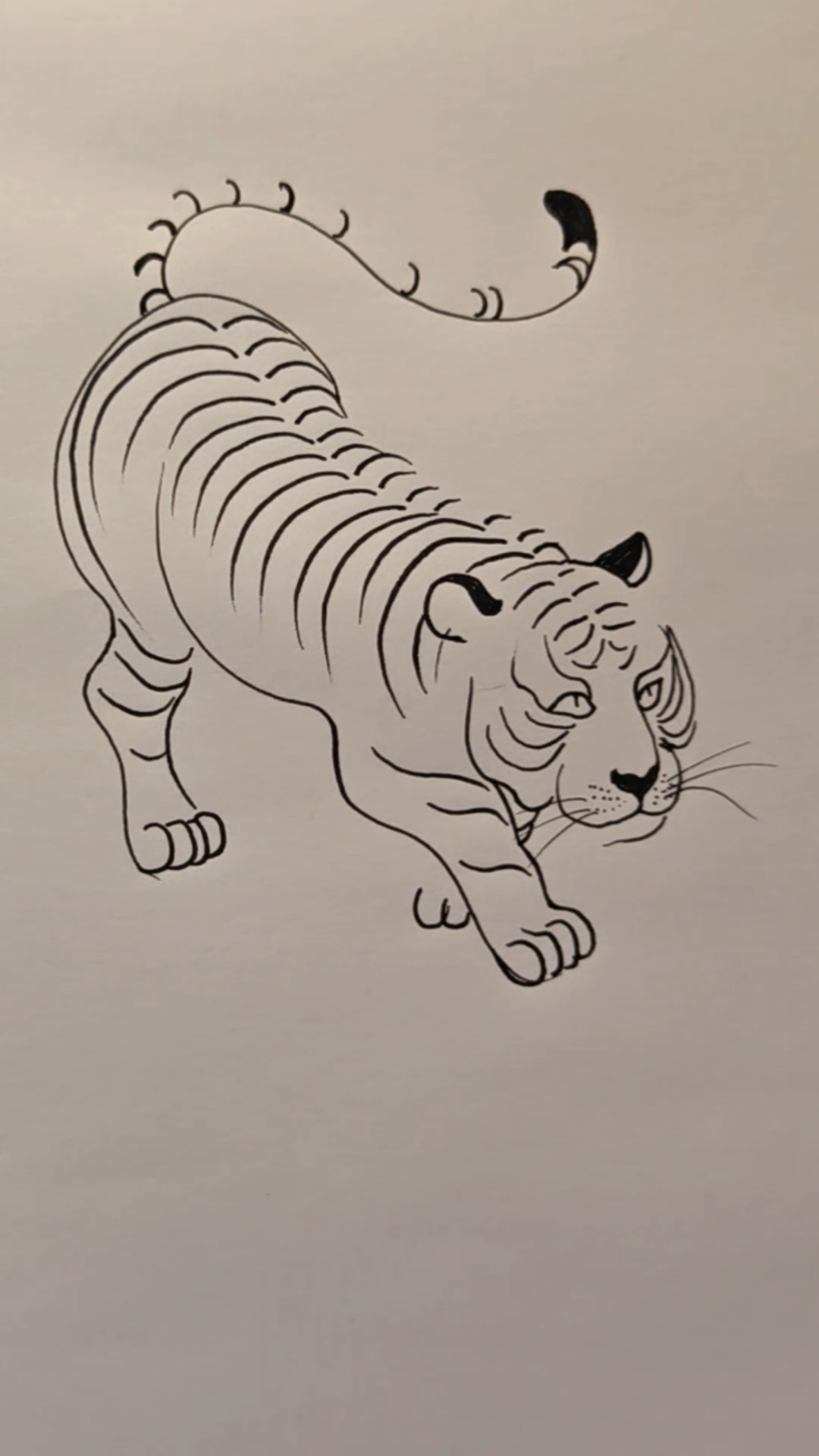 简笔画大老虎