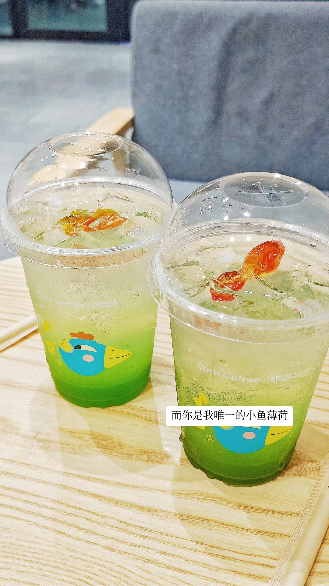 而你是我唯一的小鱼薄荷
