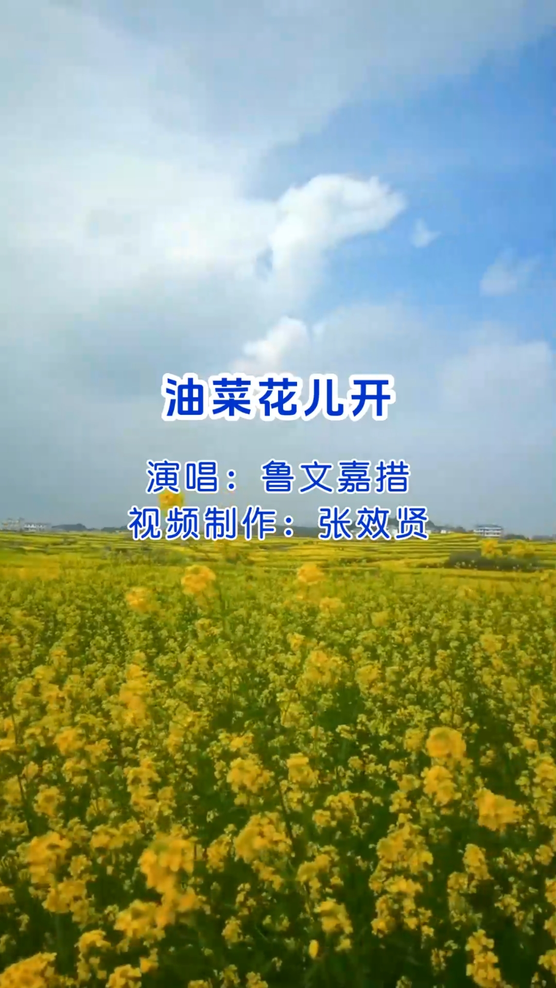 鲁文嘉措演唱的《油菜花儿开》旋律优美