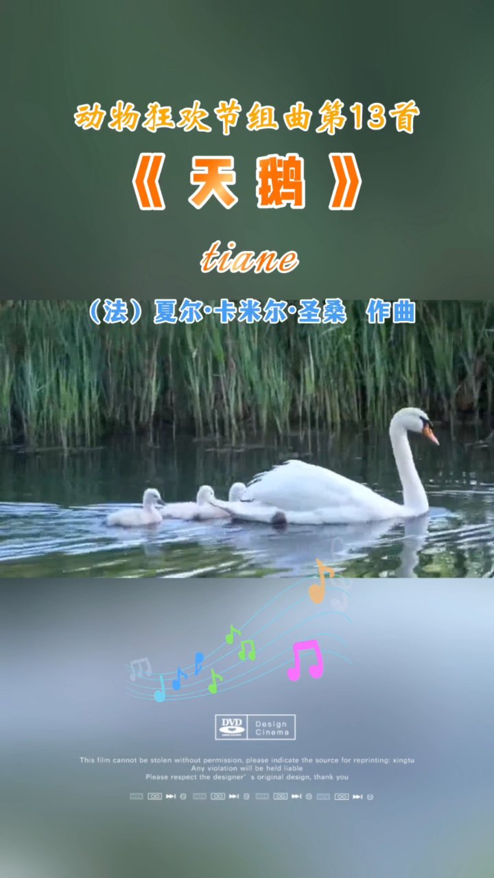 器乐曲《天鹅》，动物狂欢节组曲第13首