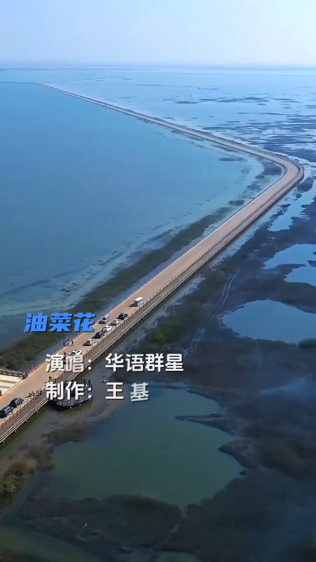 华语群星演唱《油菜花》完整版,好听。