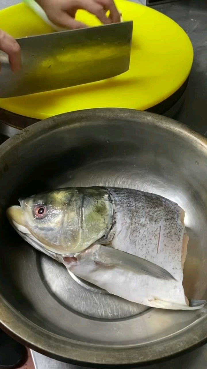 20年老店，乐聚居特色信阳菜，红焖南湾大鱼头