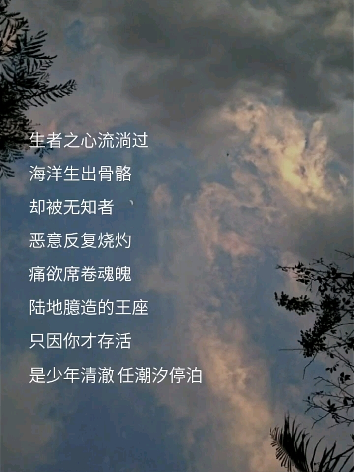 #人鱼陷落
