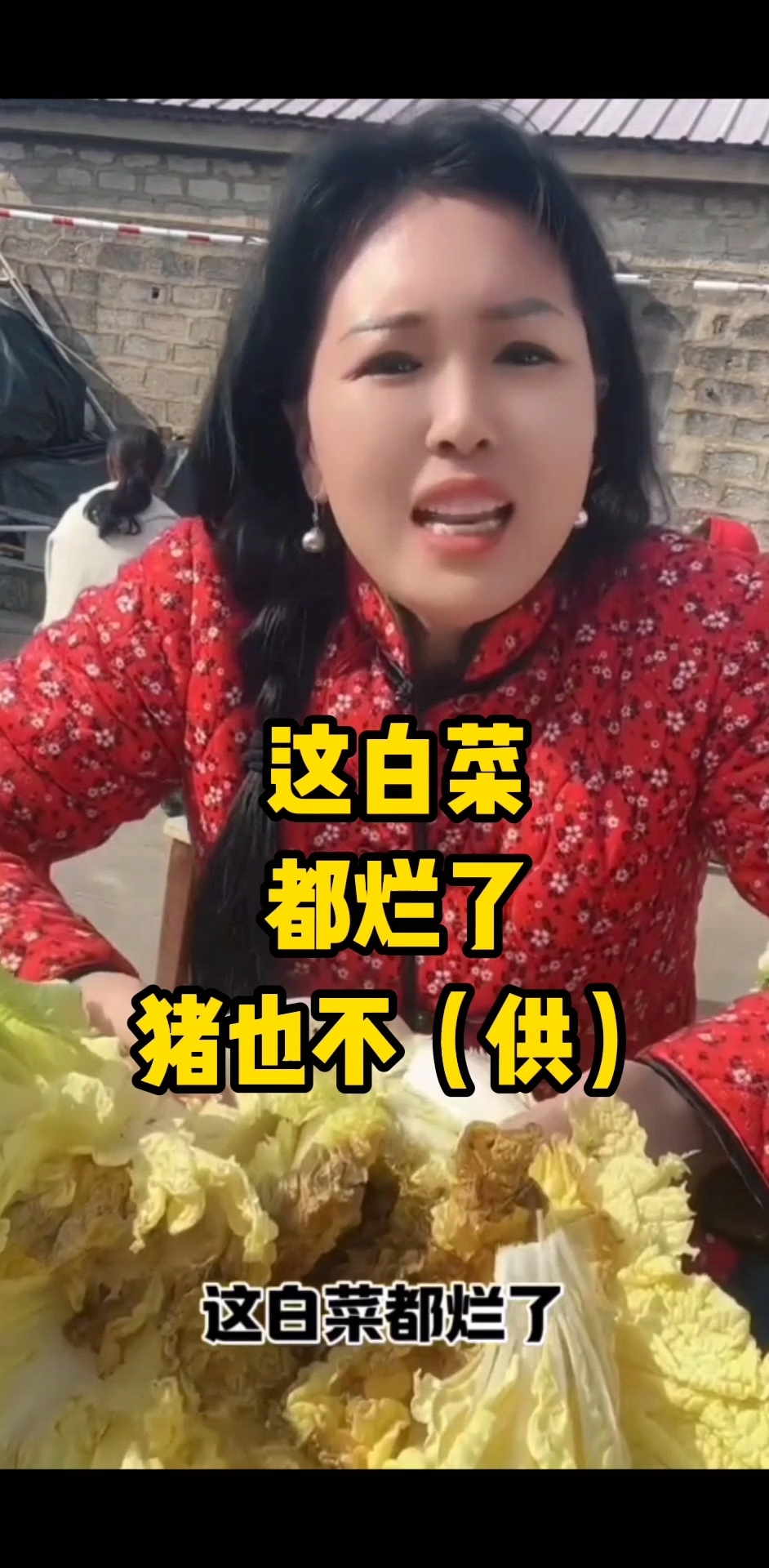 白菜都烂了猪也不供
