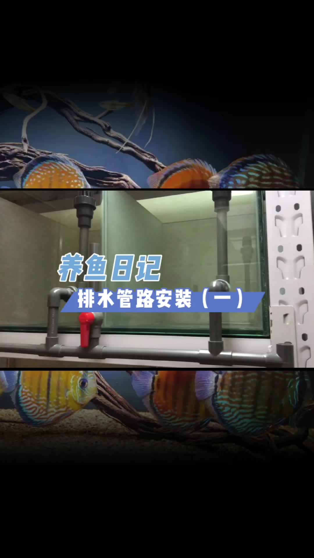 鱼缸排水安装(一)