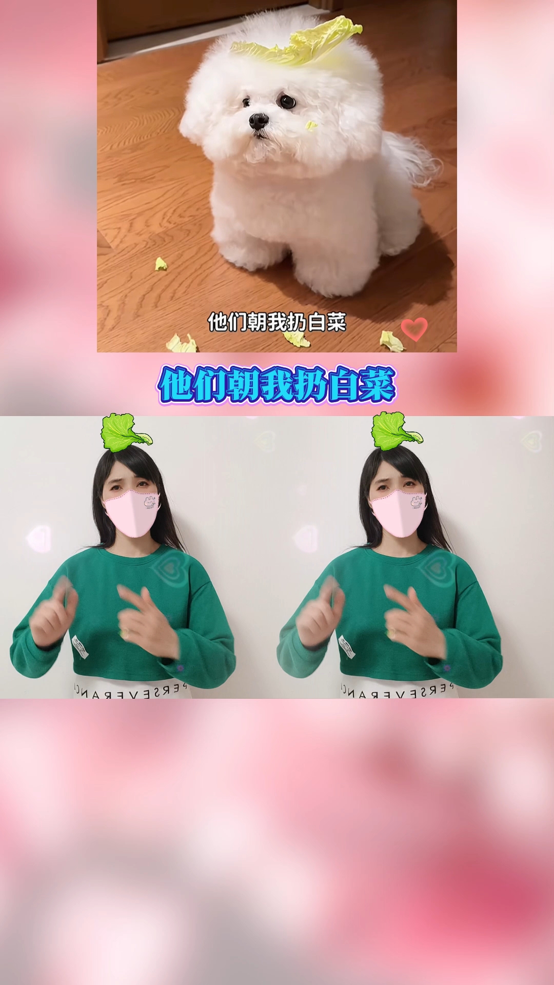 他们朝我丢白菜