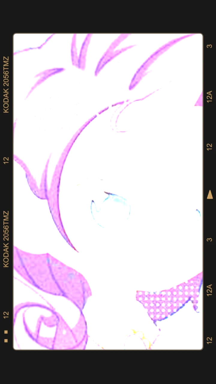 小马宝莉头像第二期