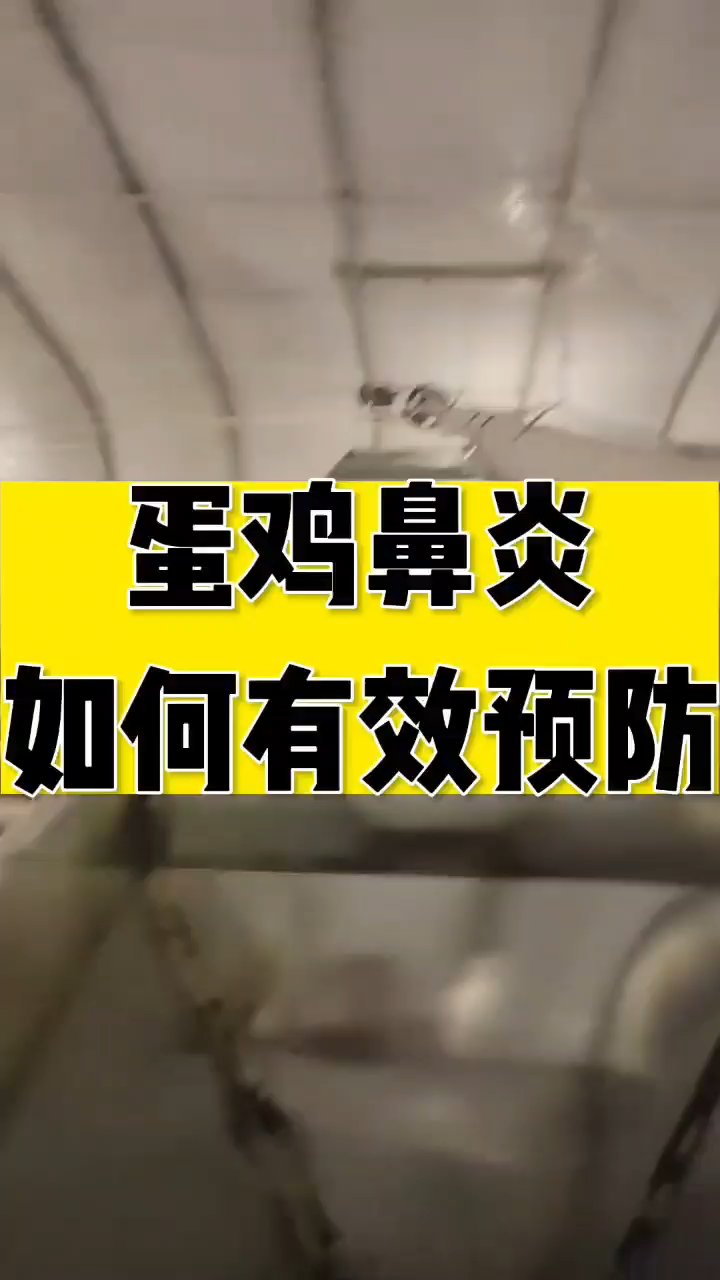 分享视频