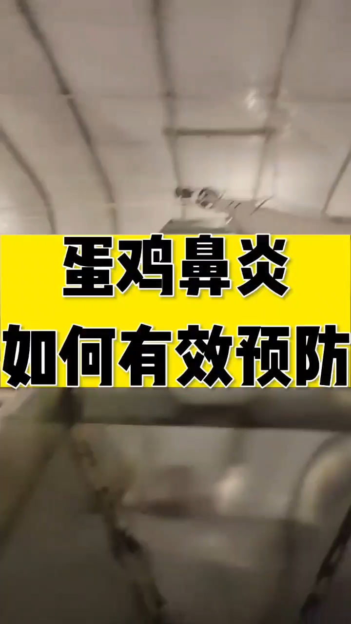 分享视频