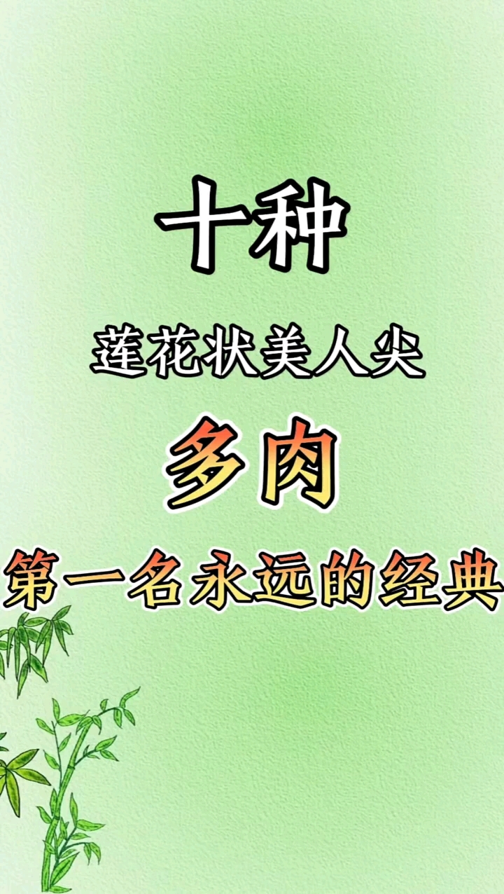十种莲花状美人尖多肉，第一名永远的经典！#绿植# #花卉绿植# #多肉植物#
