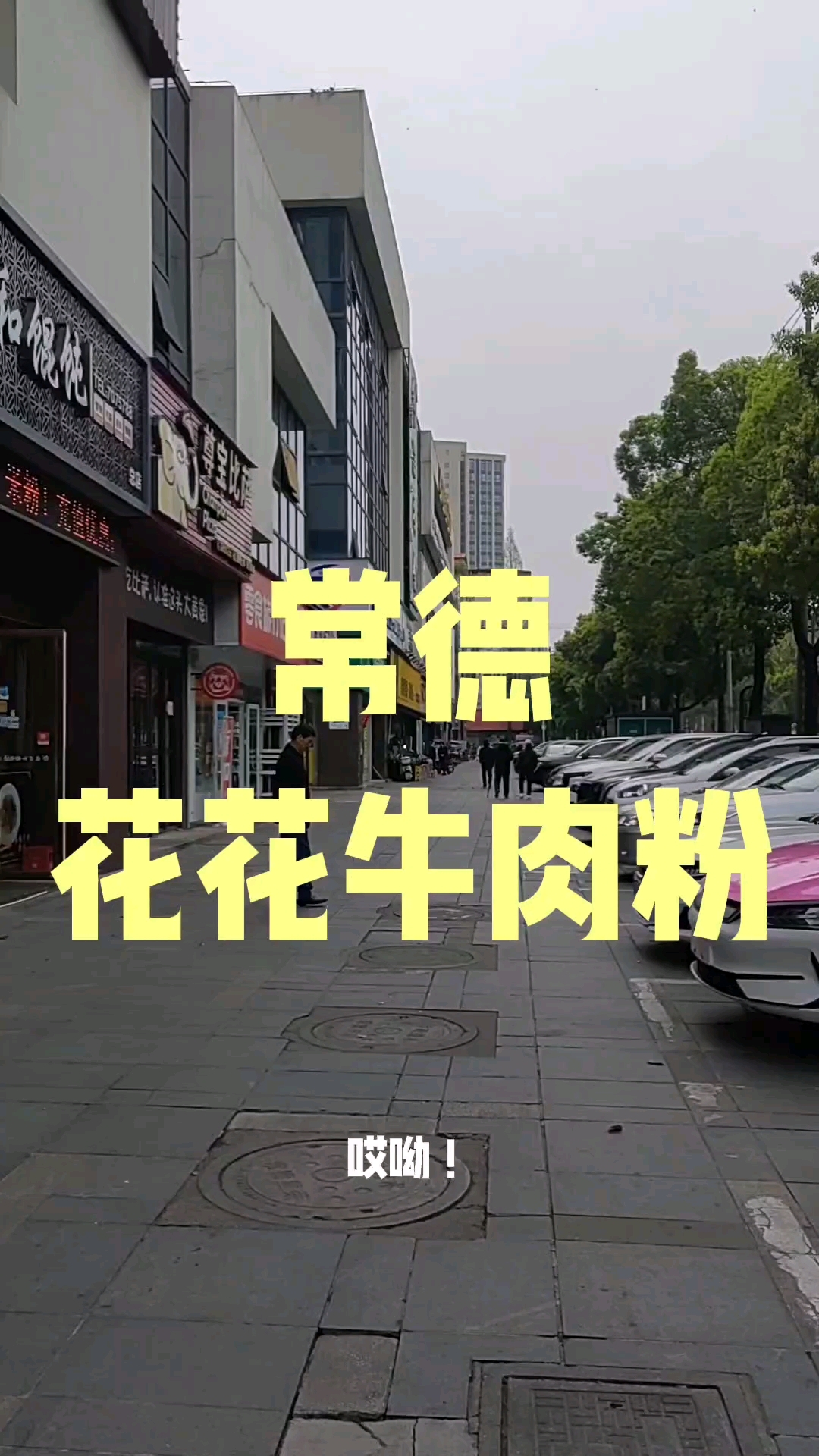 常德6元钱一碗的牛肉粉!