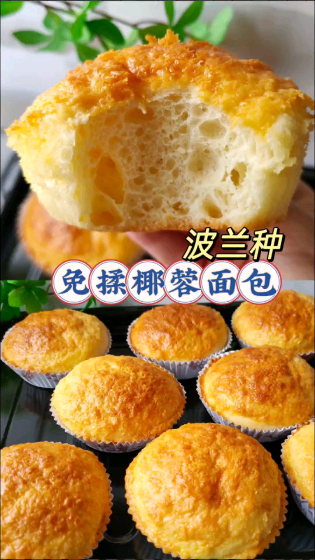 免揉椰蓉面包,松软香甜椰香四溢巨好吃!