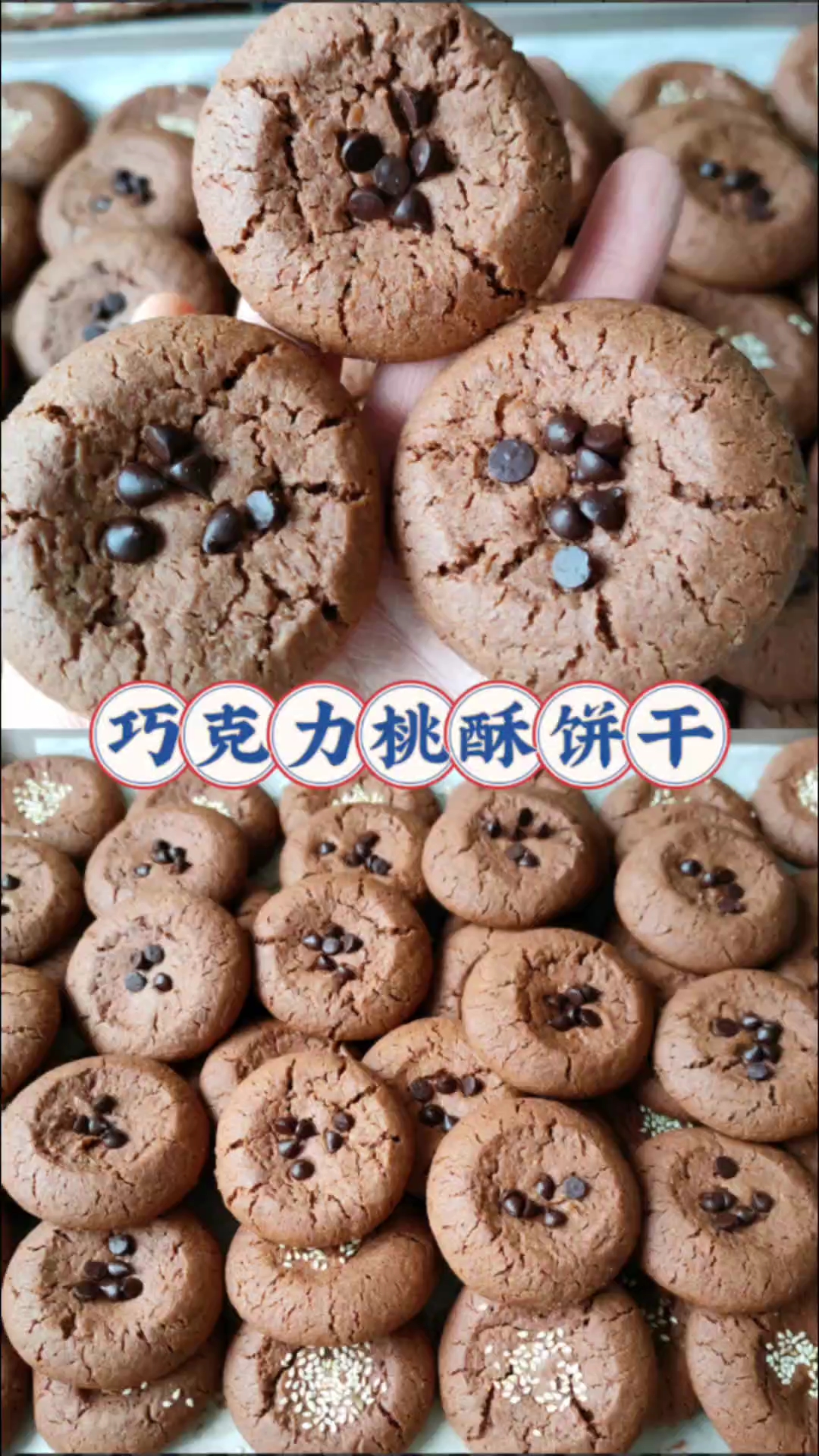 巧克力桃酥饼干/香酥掉渣巨好吃!