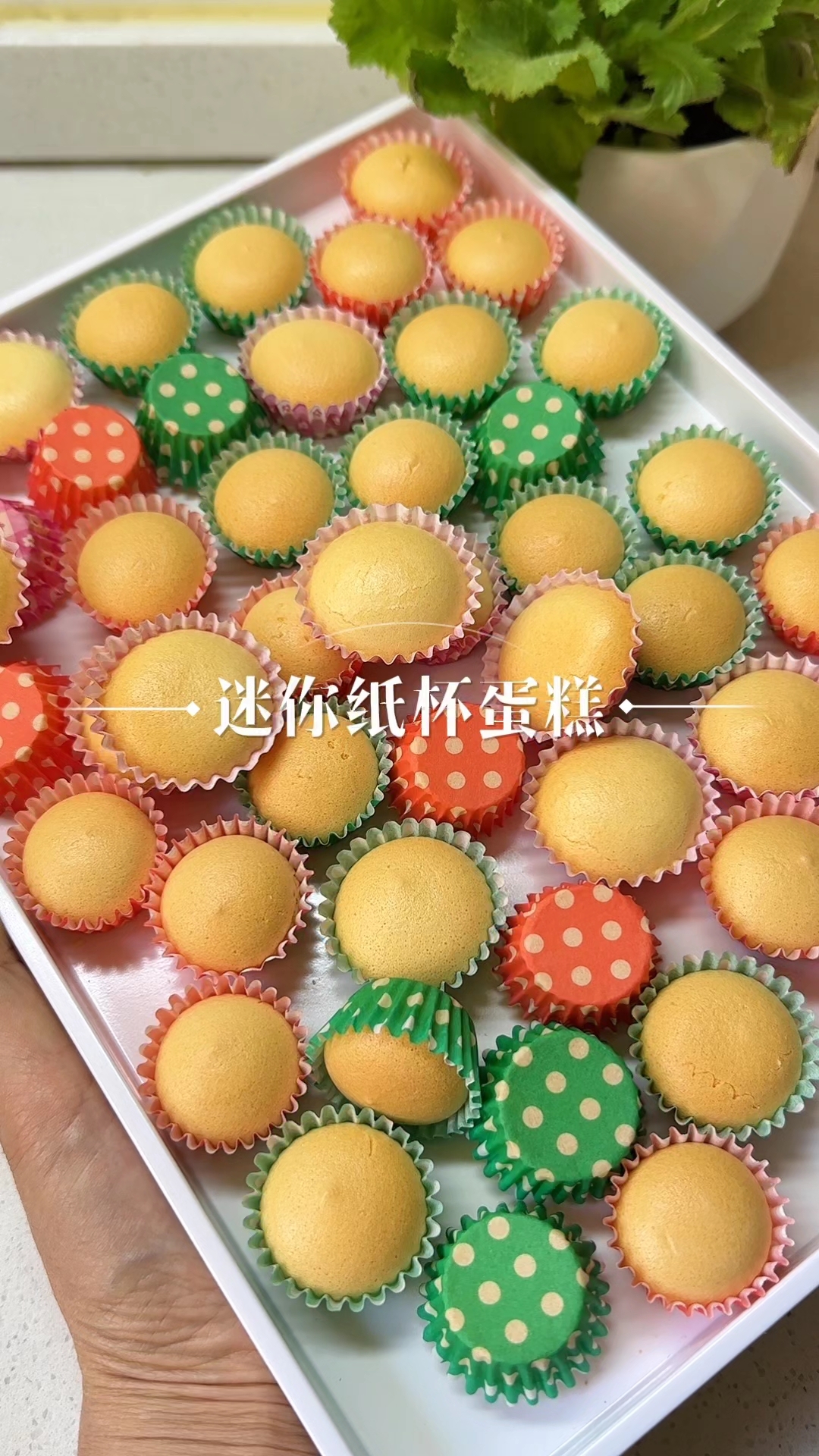 刚出炉的迷你纸杯蛋糕,满屋飘香,你想不想来一口?”