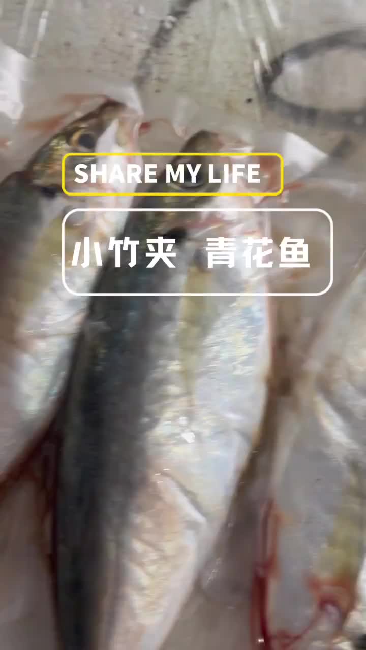 青花鱼学名鲐鱼,又名青占鱼。鲅鱼学名马鲛鱼