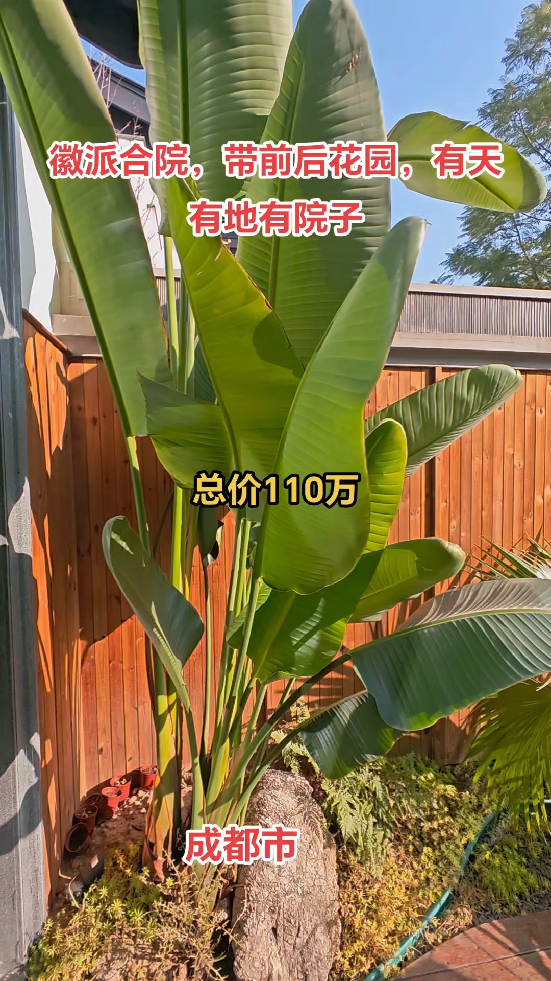 110万买成都安仁古镇徽派合院别墅,一楼带院子,二楼带观景露