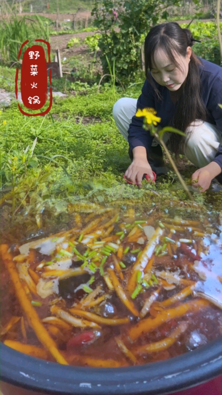摘些许野菜煮一锅沸腾！#贵州风味酸汤火锅 #风味酸汤洛锅 #