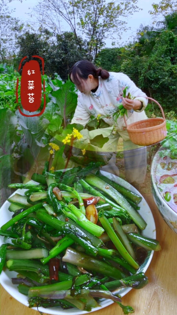 红菜苔你都有哪些吃法!#老一辈乡村生活 #舌尖上的烟火