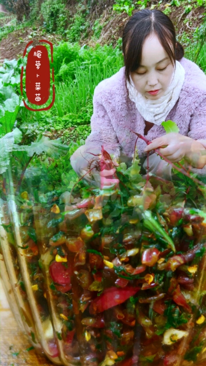 这种小萝卜菜苗你们怎么吃的?#新农人计划 #我的乡村生活 #