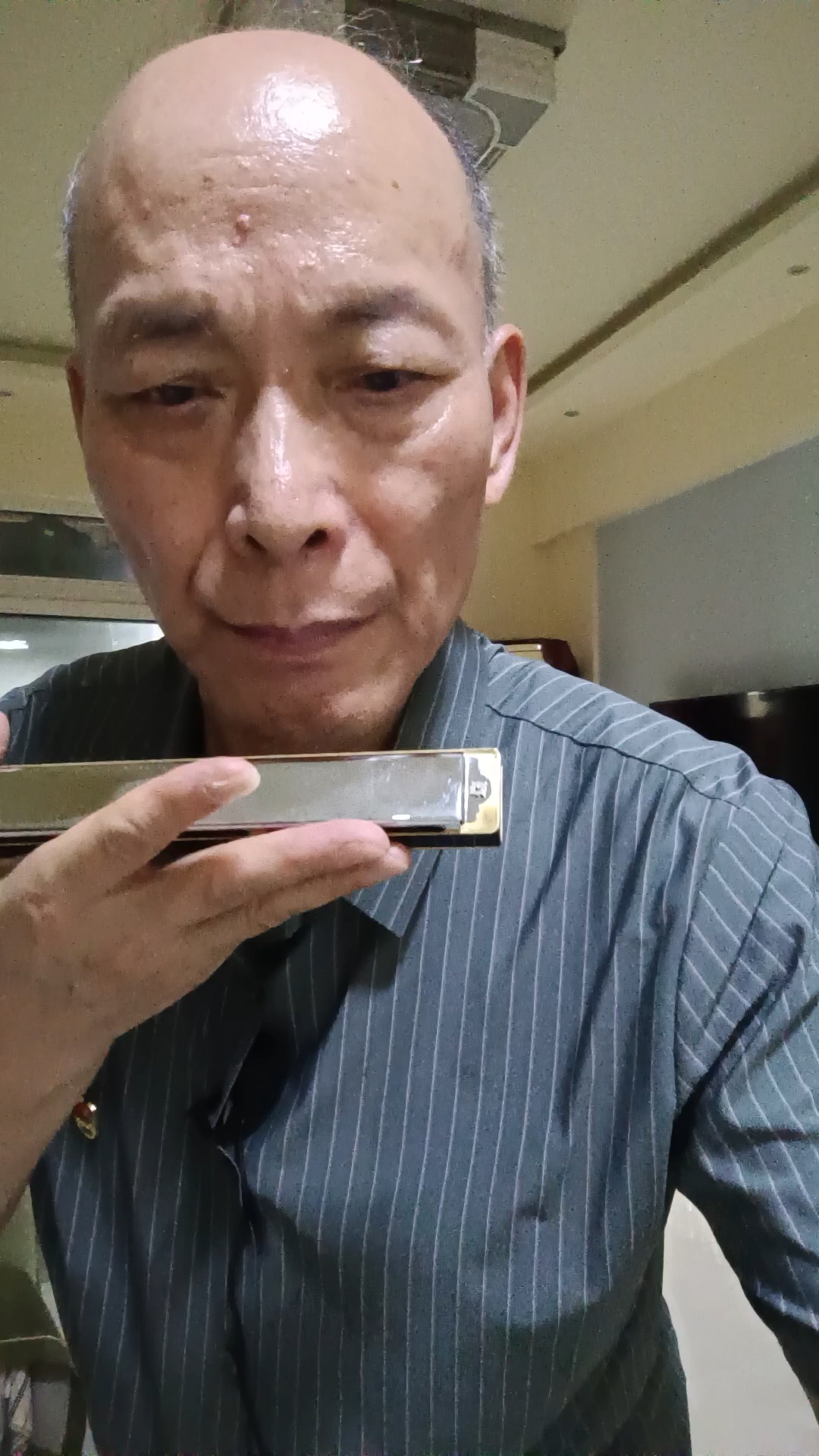 原上海市少年宫口琴队石人望弟子重庆童老师一小鸭子