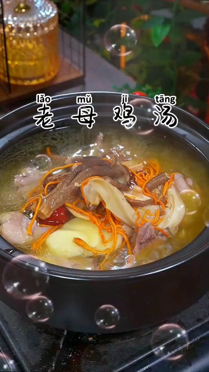 母鸡汤