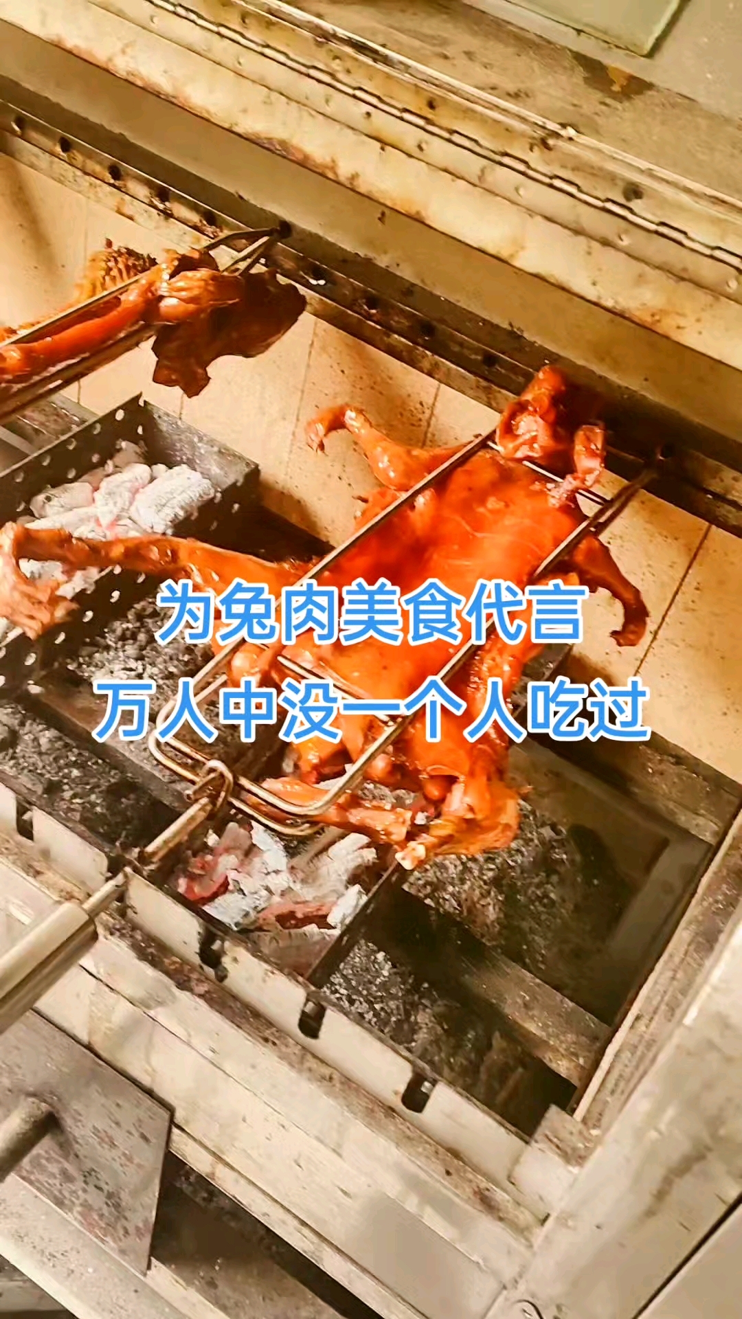 16年的养殖到兔肉美食20多种兔肉做法,为了让更多人吃到好吃