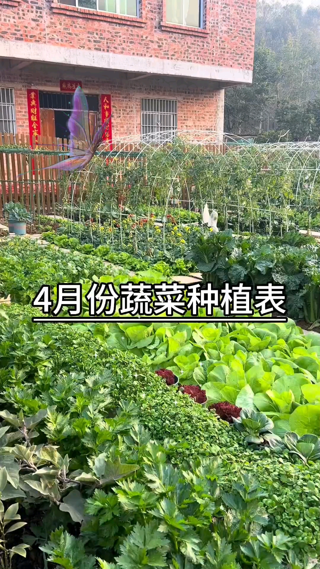 4月蔬菜种植哪些好
