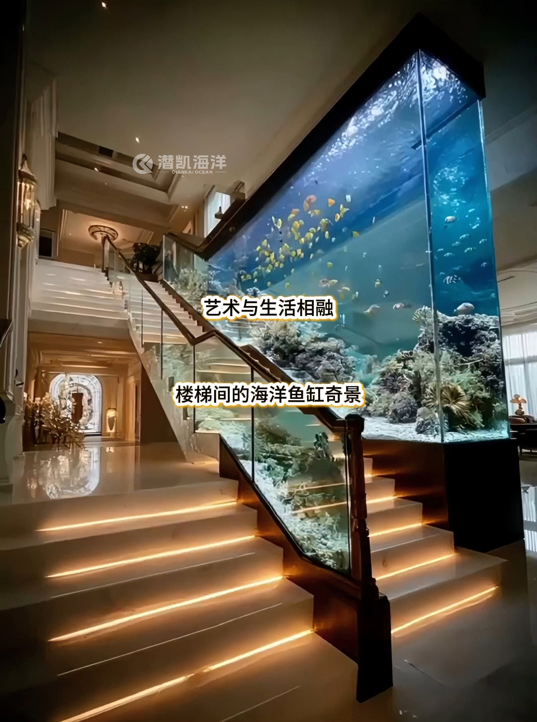 无论是什么款式的鱼缸,都是风景,八月,你好  幸会!
