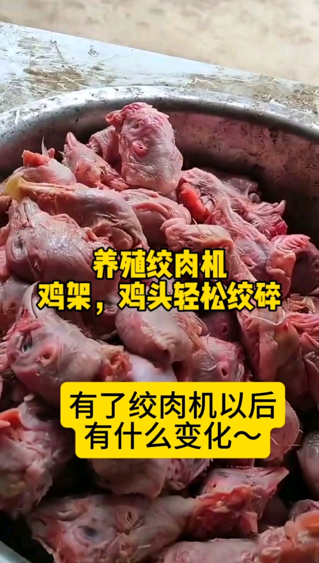 养殖必备破骨绞肉机,62型减速机款绞肉机绞碎鸡头喂狗
