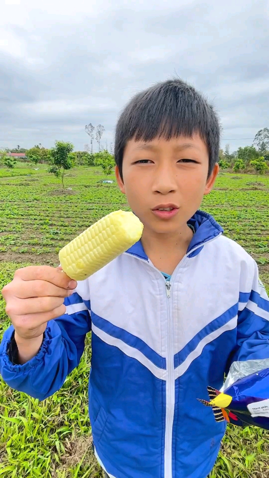 如果你有一个玉米冰淇淋?