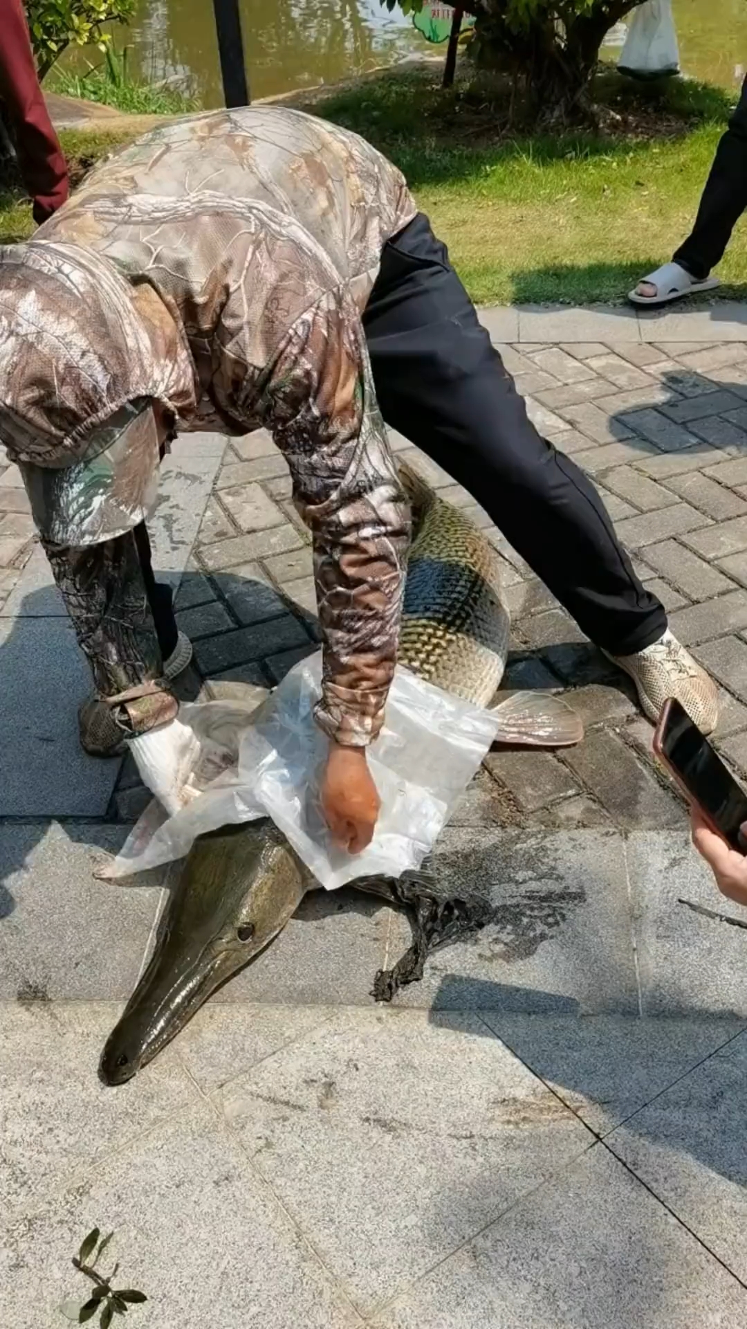 这鱼能吃吗?带你认识几种不同鱼