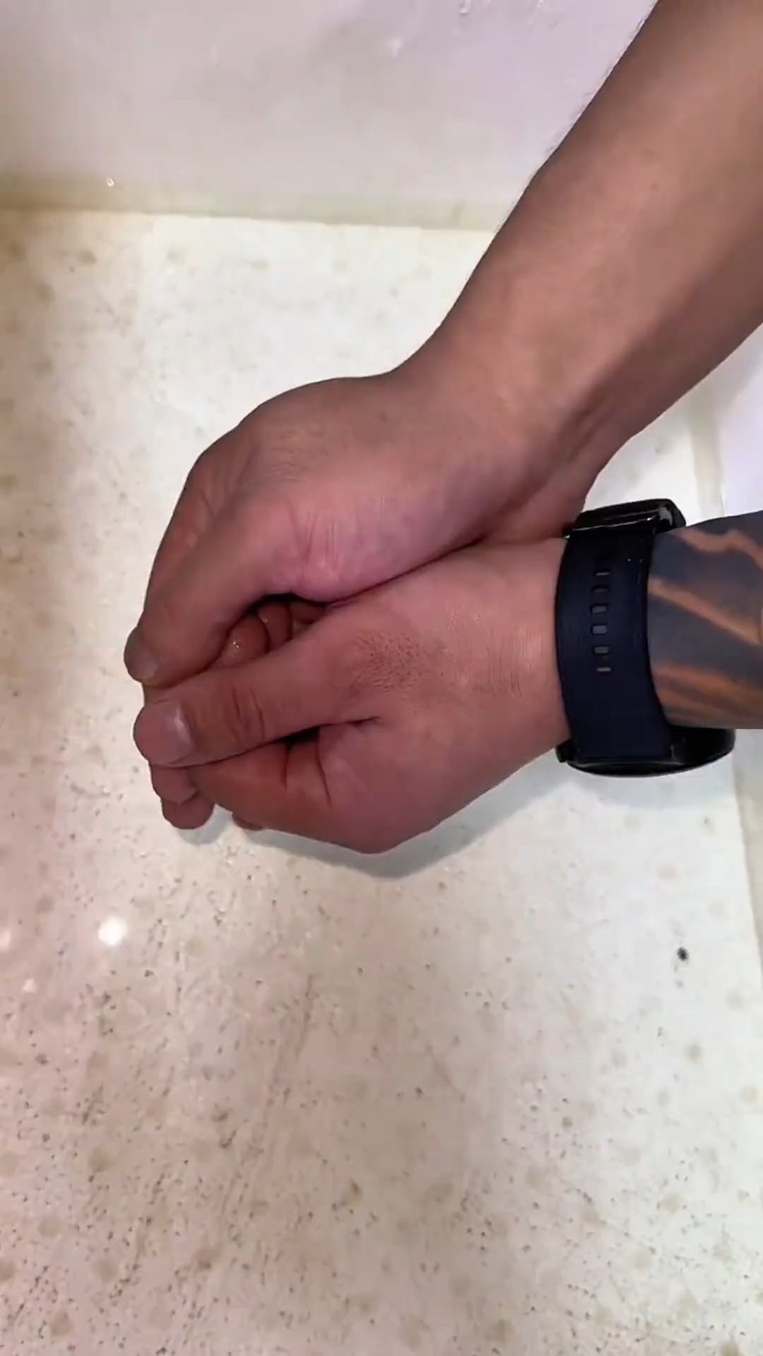 带你认识11中巨型淡水鱼