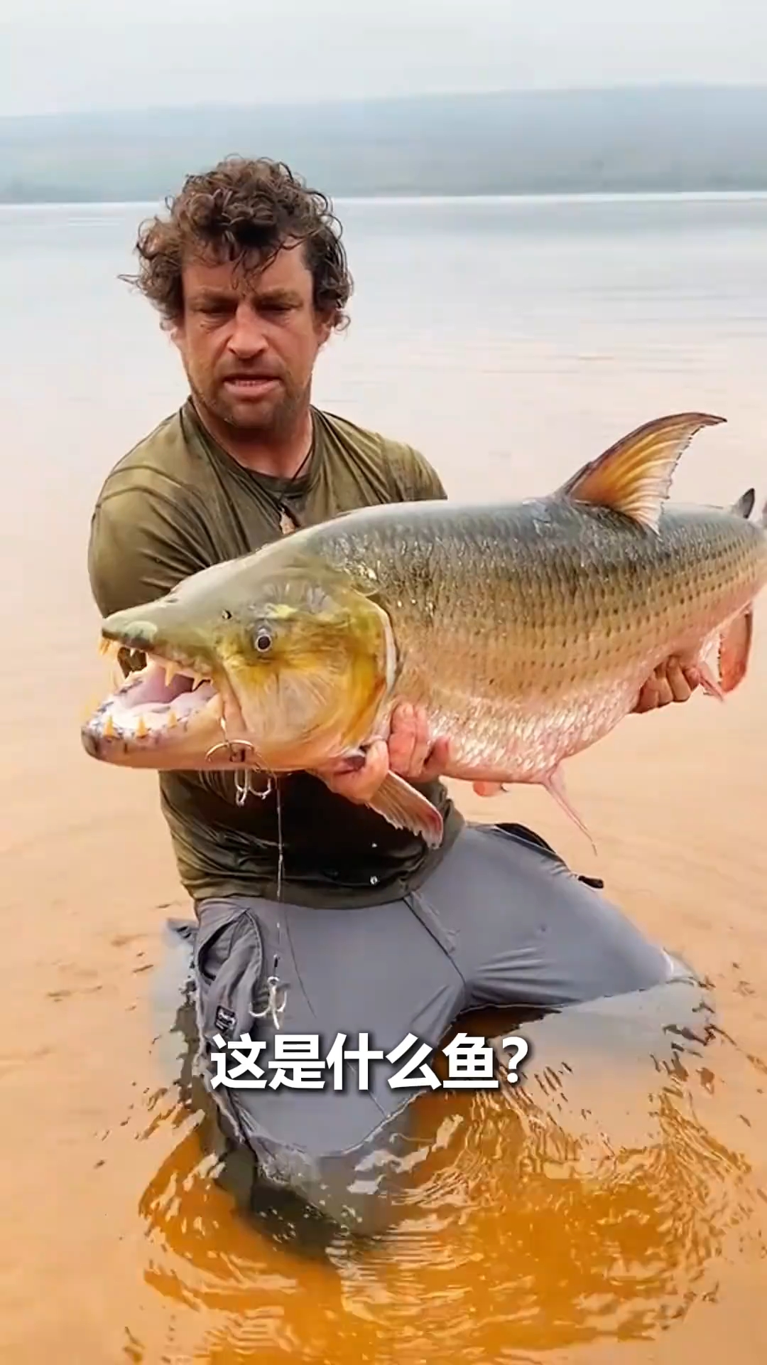 分享不同鱼,看看你不认识哪种?