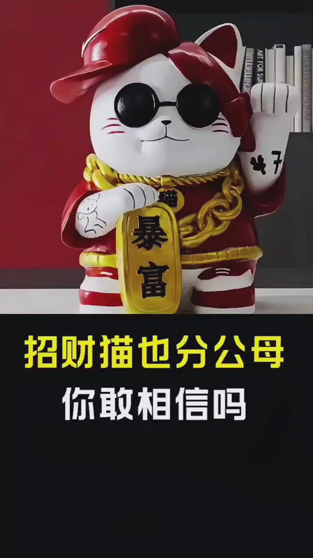 招财猫也分公母,你敢相信吗?