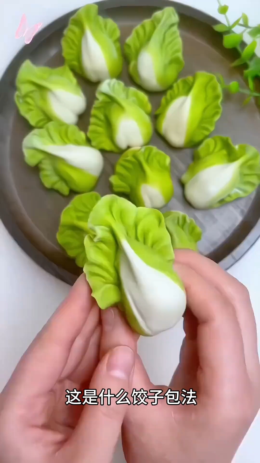 这是什么饺子包法！