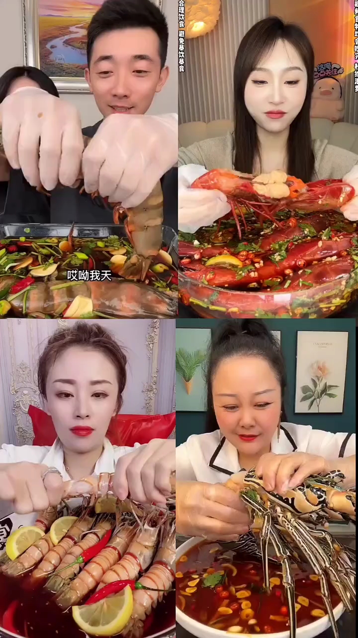 盘点虾中的扛把子