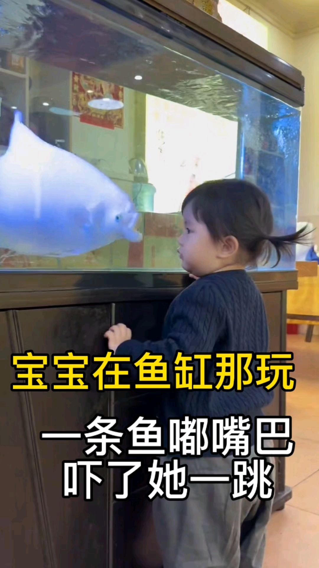 宝宝在鱼缸那玩,一条鱼嘟嘴巴吓了她一跳