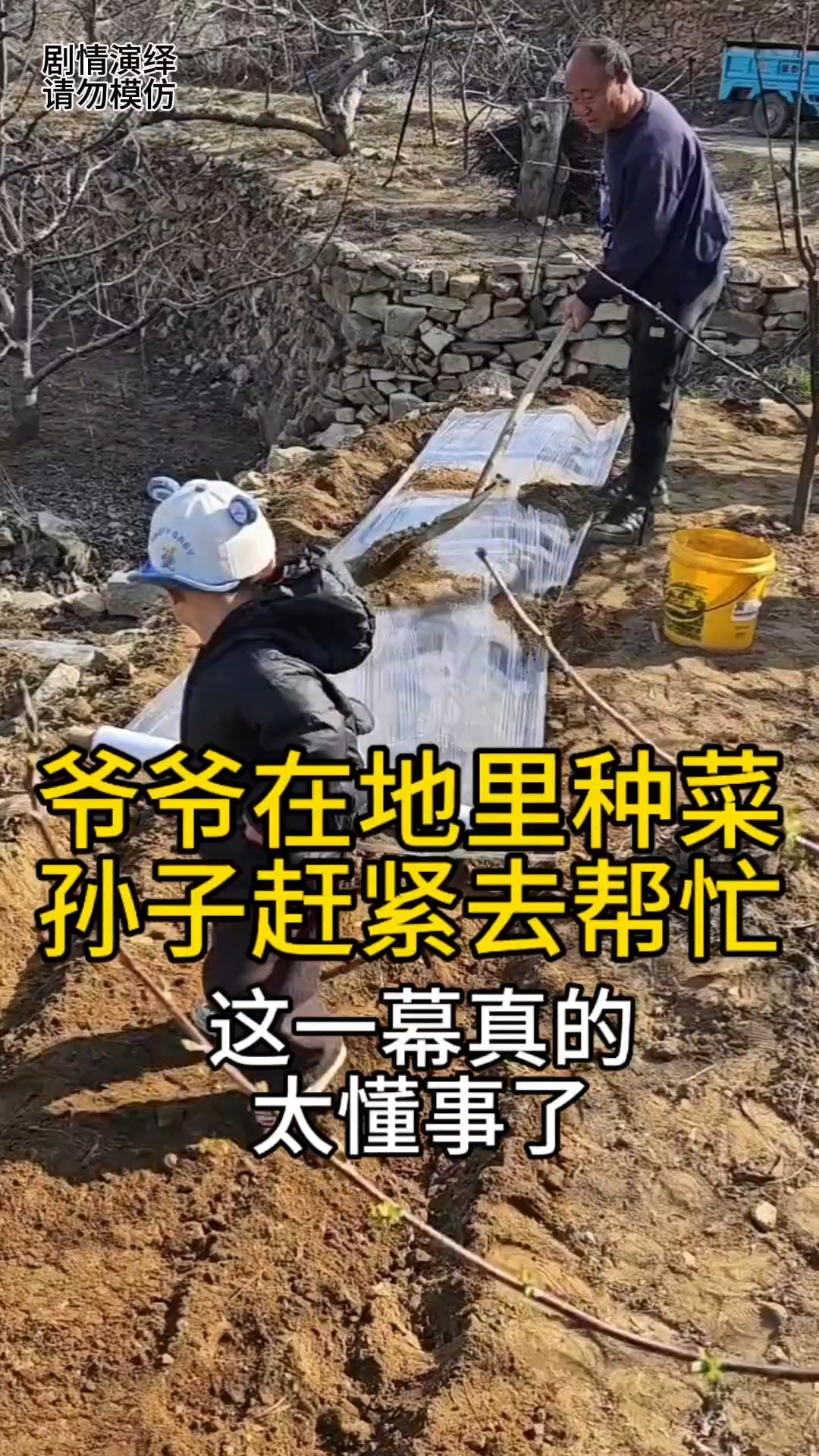 爷爷在地里种菜孙子赶紧去帮忙,这一幕真的太懂事了