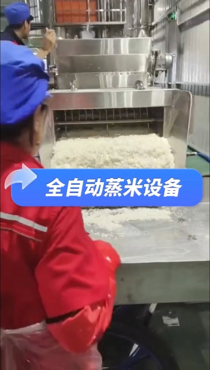 连续蒸饭设备 米酒设备糯米酒设备醪糟酒设备。