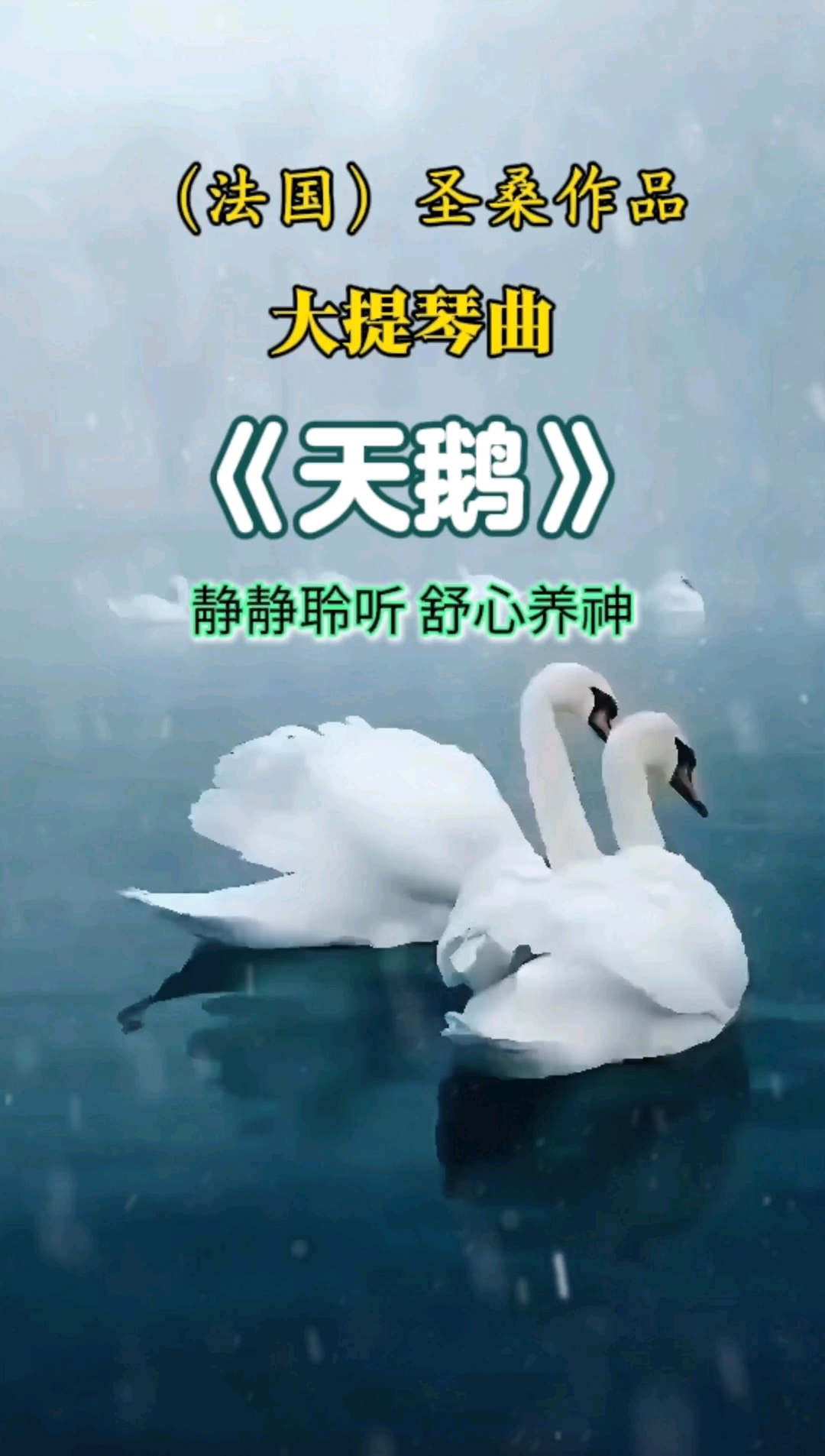 法国作曲家圣桑大提琴曲《天鹅》美出天际,画面唯美,端庄高雅