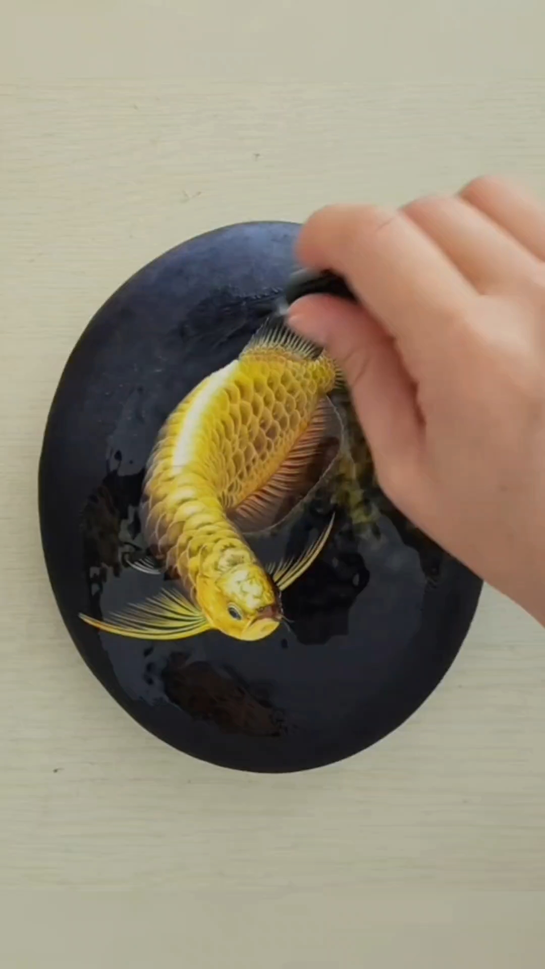 我给金龙鱼封层后的效果  是不是布灵布灵的 手绘石头画#画画