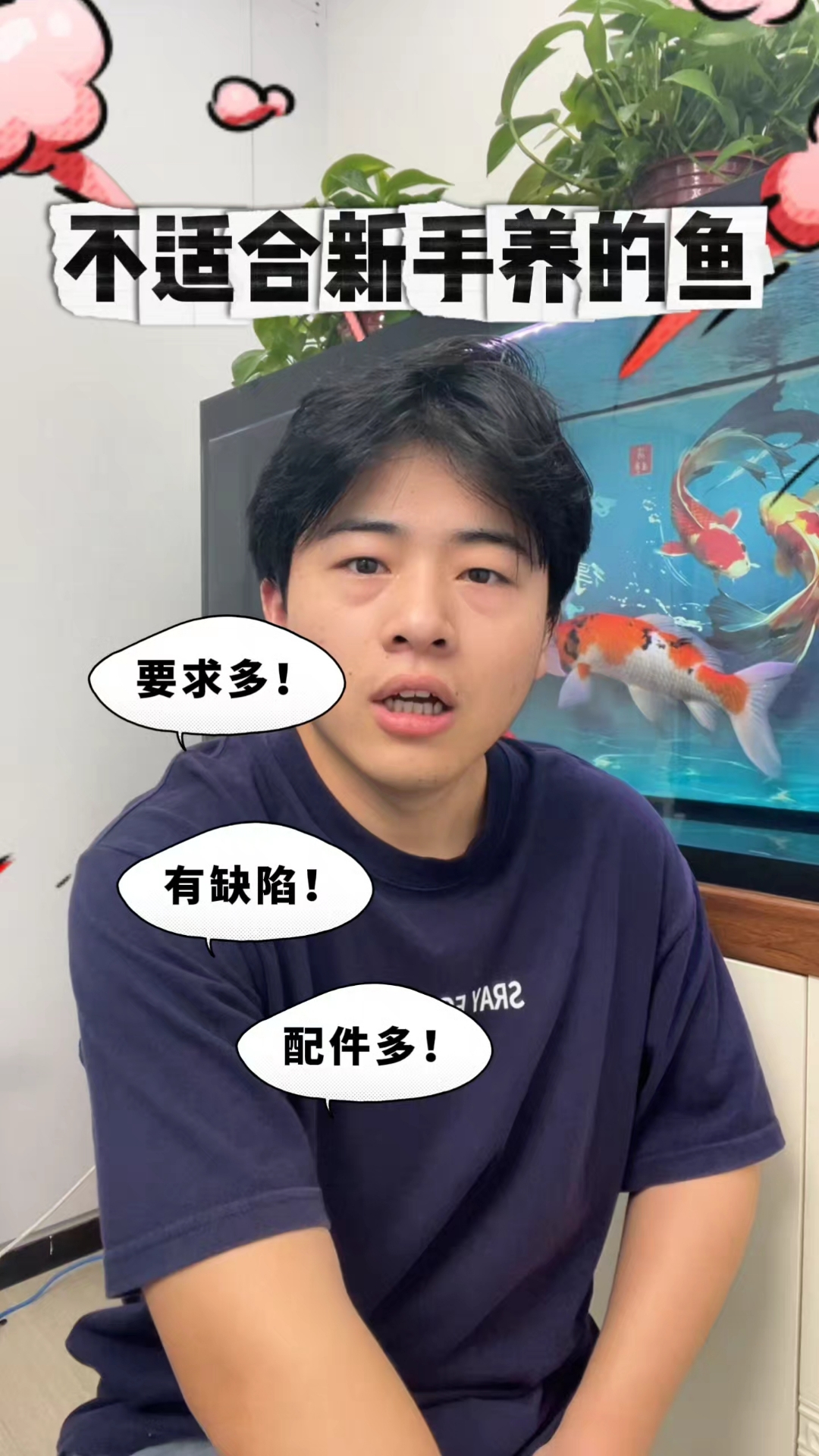 不适合新手养的鱼#新手养鱼# #观赏鱼# #养鱼# #养鱼日记#