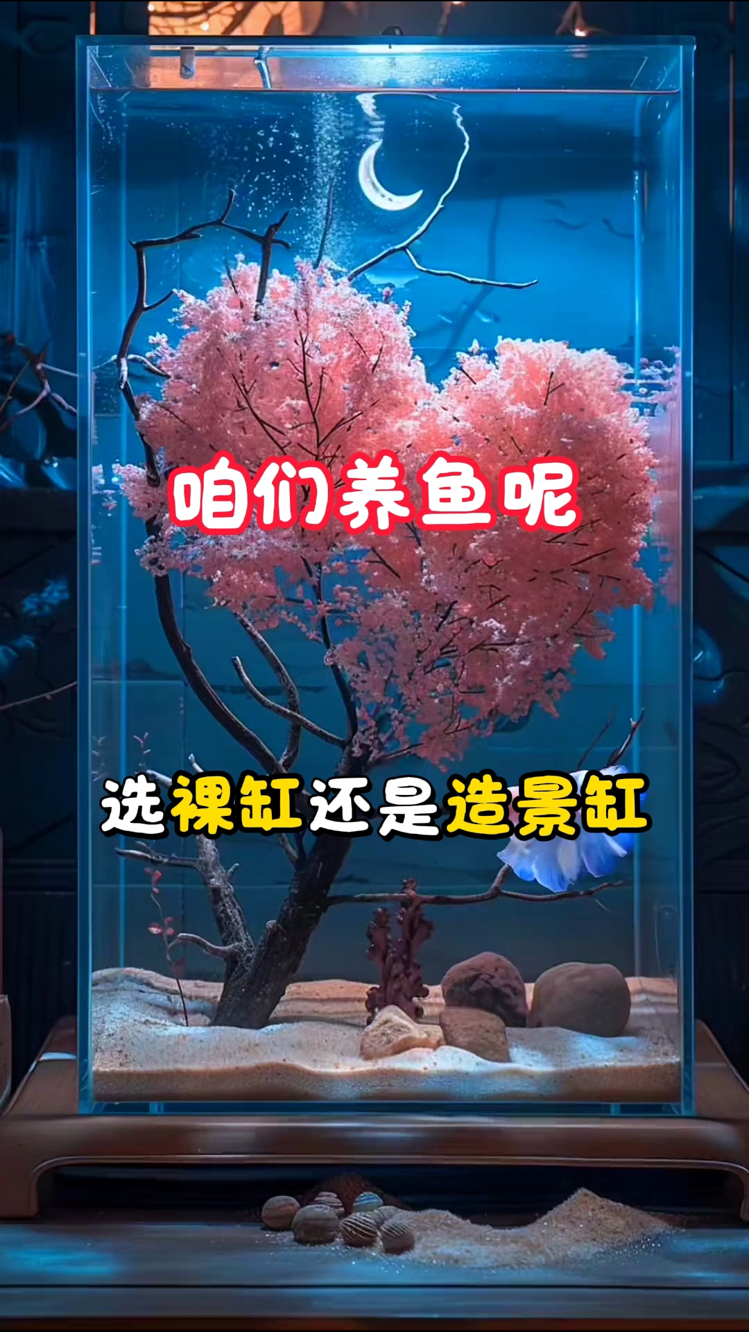 养鱼选择裸缸还是造景缸#鱼缸# #观赏鱼# #新手养鱼# #养鱼日记#