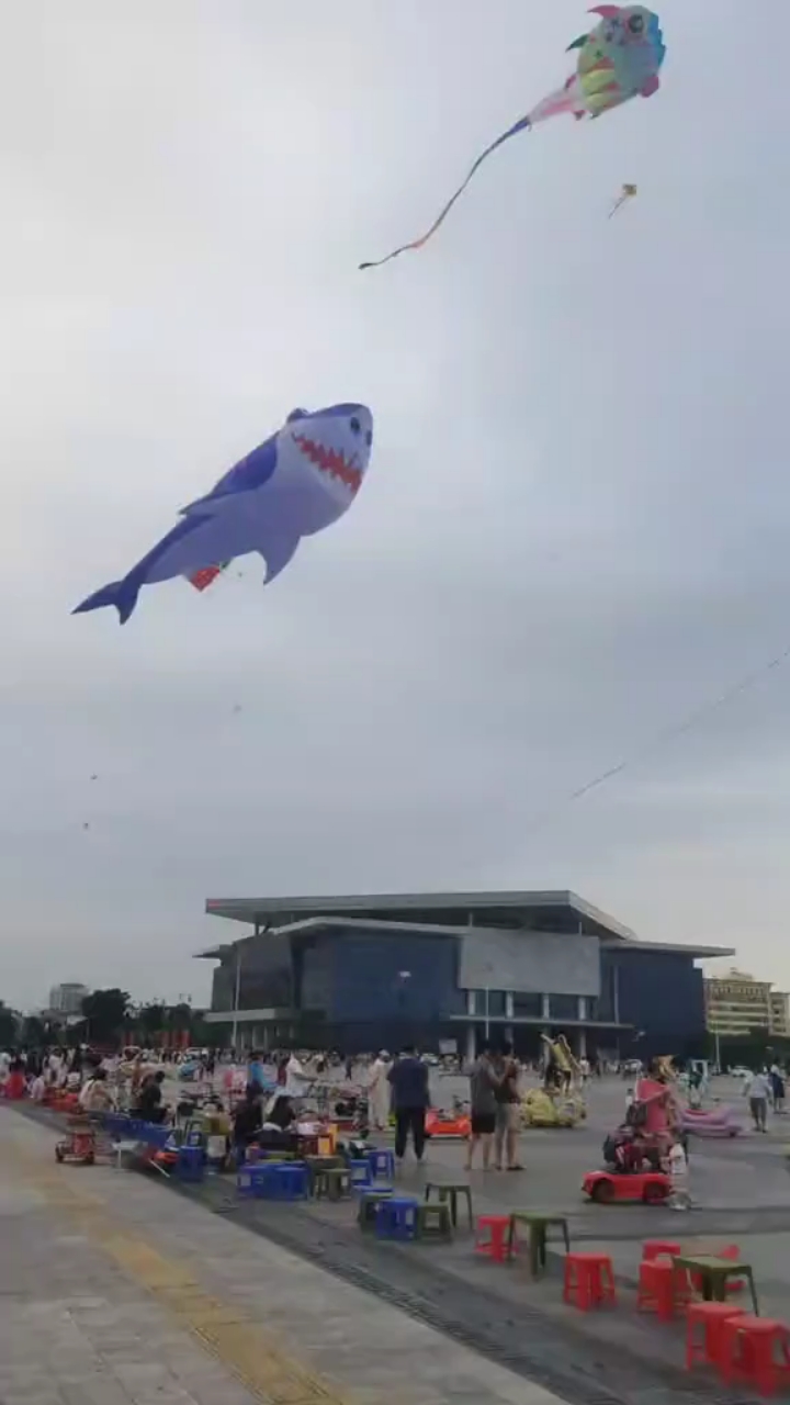 这风筝鱼太大了