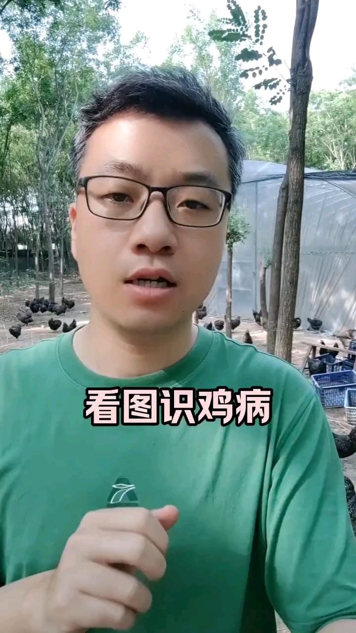 鸡生病不知道怎么治疗?看看这个视频,一看就懂#农村散养土鸡#