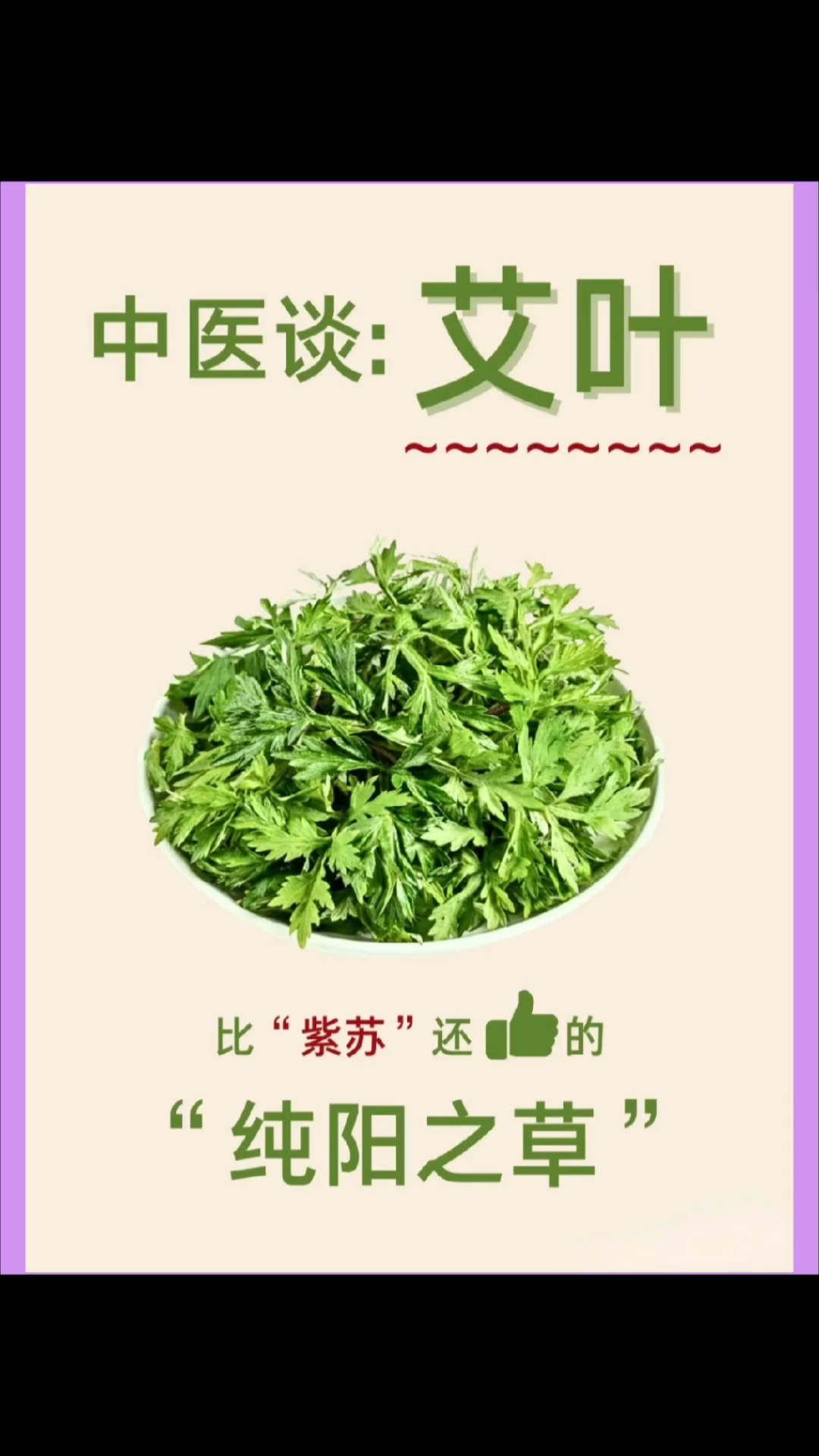 中医谈:艾叶比“紫苏”还赞的“纯阳之草”