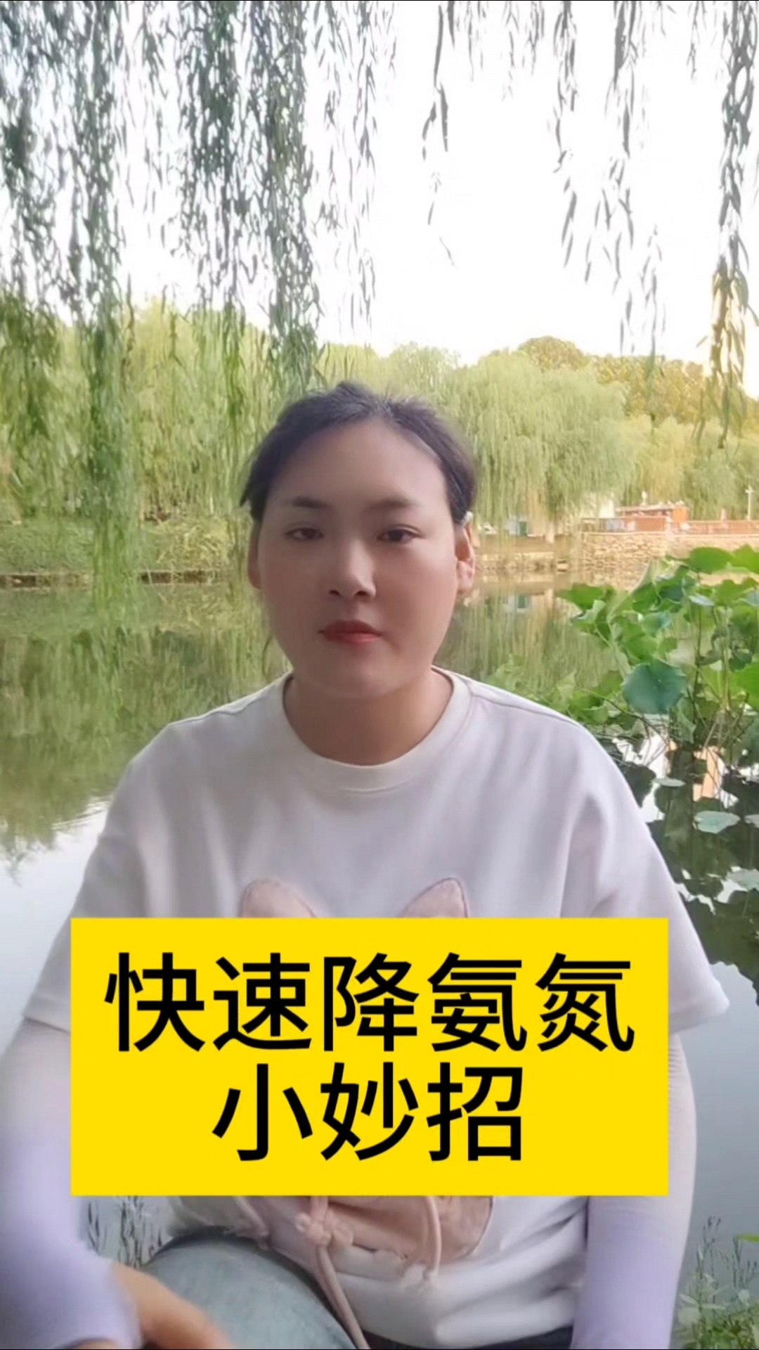 水产养殖快速降氨氮小妙招#水产四大家鱼养殖#南美白对虾养殖#