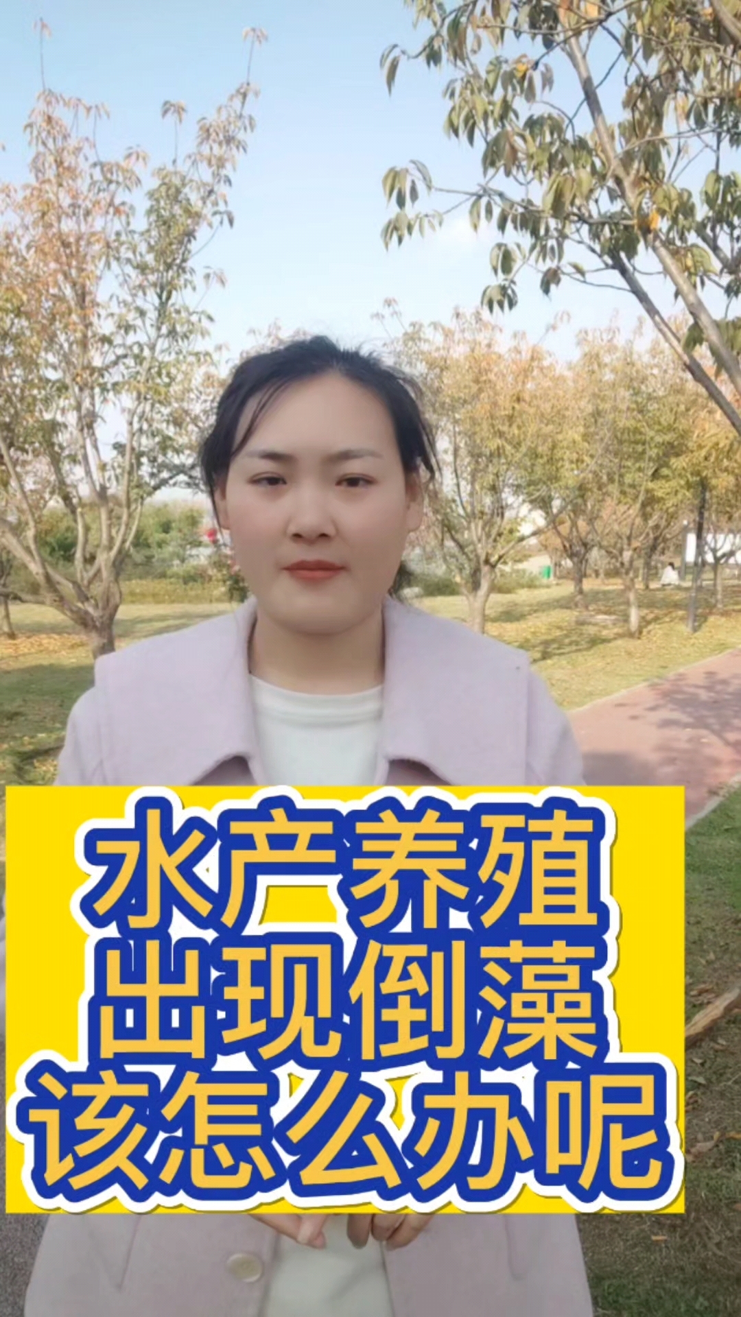水产养殖出现倒藻该怎么办呢#水产四大家鱼养殖#南美白对虾养殖