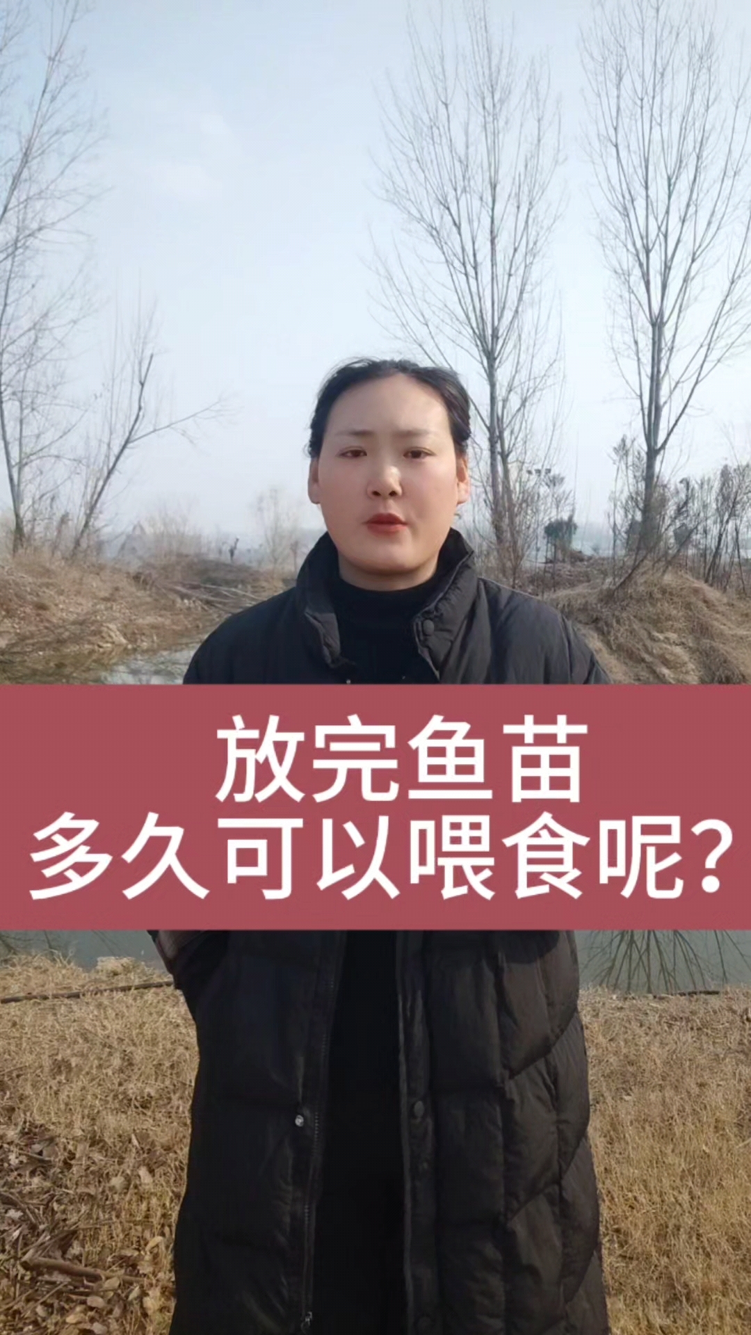 放完鱼苗多久可以喂食呢#四大家鱼养殖#鱼虾蟹养殖#水产养殖#