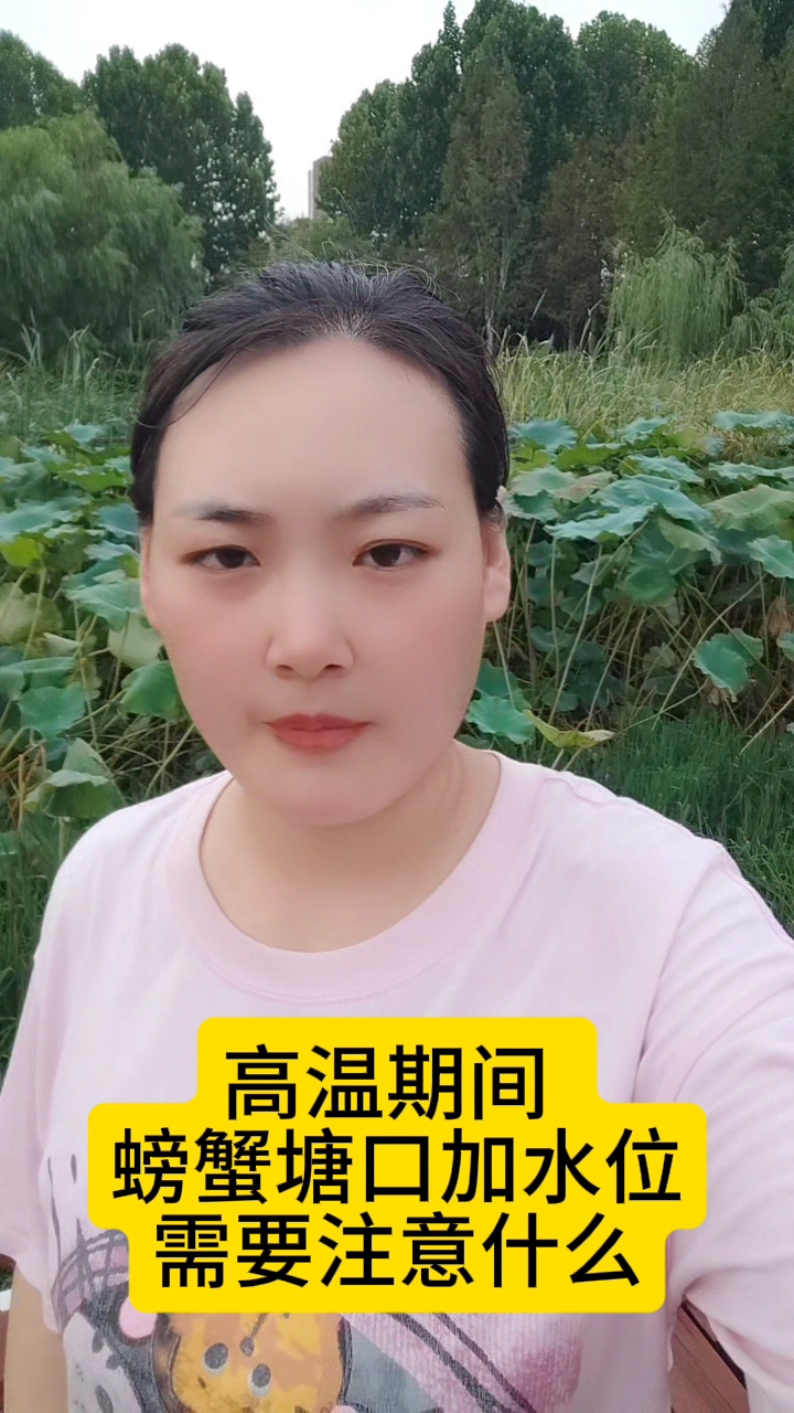 水产养殖高温期间螃蟹塘口加水位需要注意什么#南美白对虾养殖#